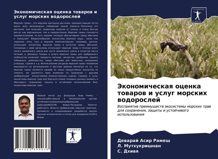 Produktbild: Jekonomicheskaq ocenka towarow i uslug morskih wodoroslej