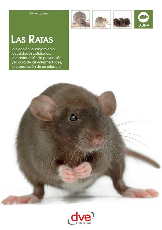 Produktbild: Las ratas: La elecci&oacute;n, el alojamiento, los cuidados cotidianos, la reproducci&oacute;n, la prevenci&oacute;n y la cura de las enfermedades, la preparaci&oacute;n de un cr
