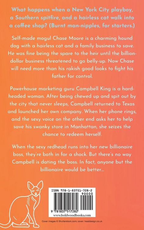 Produktbild: Anyone But The Billionaire
