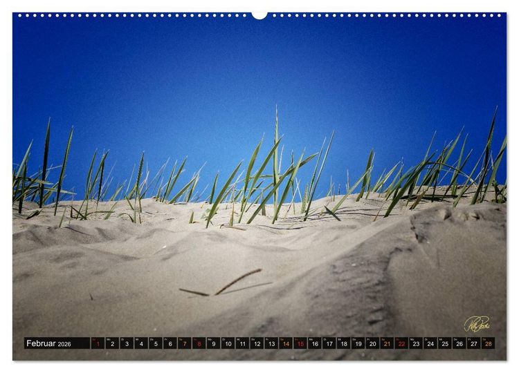 Produktbild: Nordsee-D&uuml;nen (hochwertiger Premium Wandkalender 2026 DIN A2 quer), Kunstdruck in Hochglanz