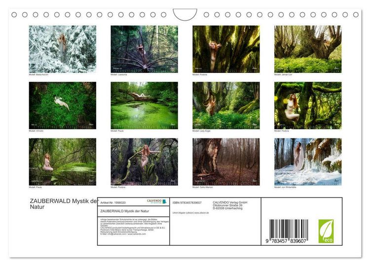 Produktbild: ZAUBERWALD Mystik der Natur (Wandkalender 2026 DIN A4 quer), CALVENDO Monatskalender