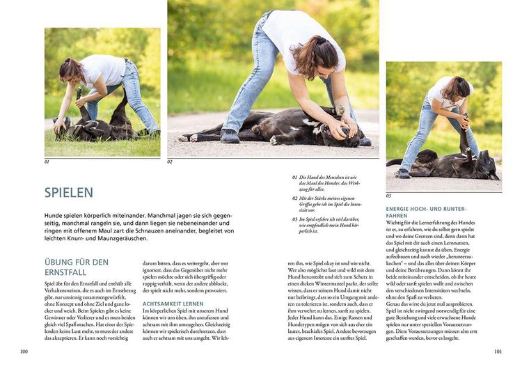 Produktbild: Hunde f&uuml;hlen und anleiten