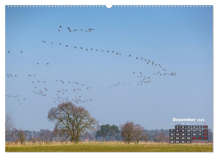 Produktbild: Die Dingdener Heide im Wandel der Jahreszeiten (hochwertiger Premium Wandkalender 2026 DIN A2 quer), Kunstdruck in Hochglanz