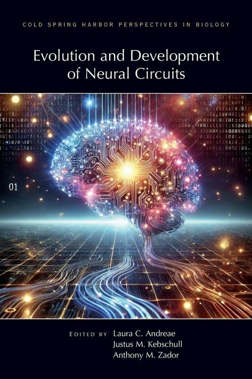 Produktbild: Evolution & Development of Neural Circuits