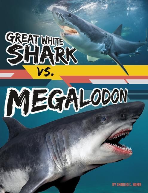 Produktbild: Great White Shark vs. Megalodon