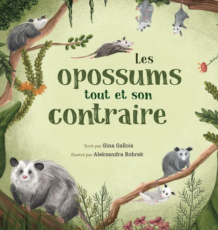Produktbild: Les opossums