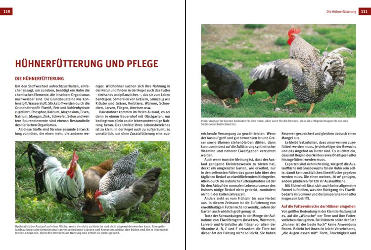 Produktbild: Das H&uuml;hnerbuch