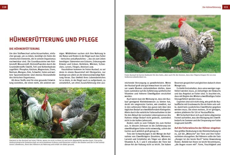 Produktbild: Das H&uuml;hnerbuch