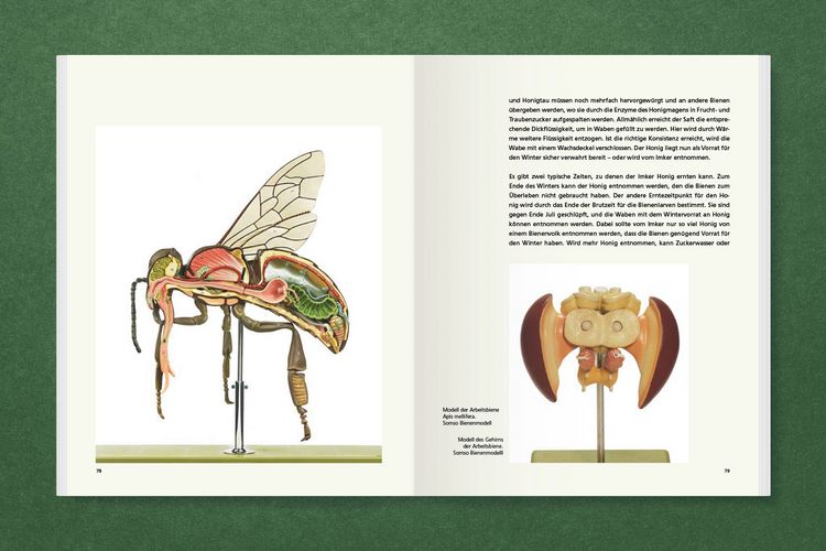 Produktbild: Honig f&uuml;r Kunst & Gesellschaft