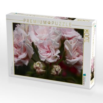 Produktbild: CALVENDO Puzzle Pelargonie Millfield Rose | 1000 Teile Lege-Gr&ouml;&szlig;e 64x48cm Foto-Puzzle f&uuml;r gl&uuml;ckliche Stunden