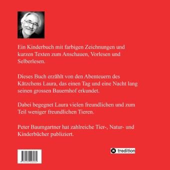 Produktbild: Kleines K&auml;tzchen, was nun?