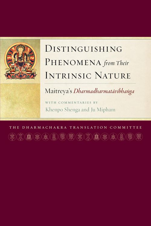 Produktbild: Distinguishing Phenomena from Their Intrinsic Nature