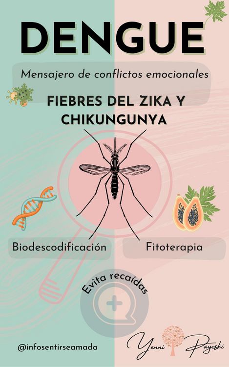 Produktbild: Dengue: mensajero de conflictos emocionales. Fiebres del Zika y Chikungunya. Biodescodificaci&oacute;n y Fitoterapia. (&iquest;Por qu&eacute; me enfermo?, #1)