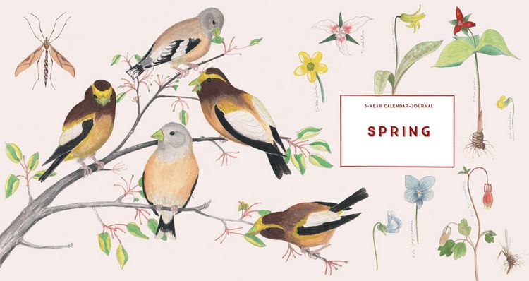 Produktbild: The Naturalist's Notebook