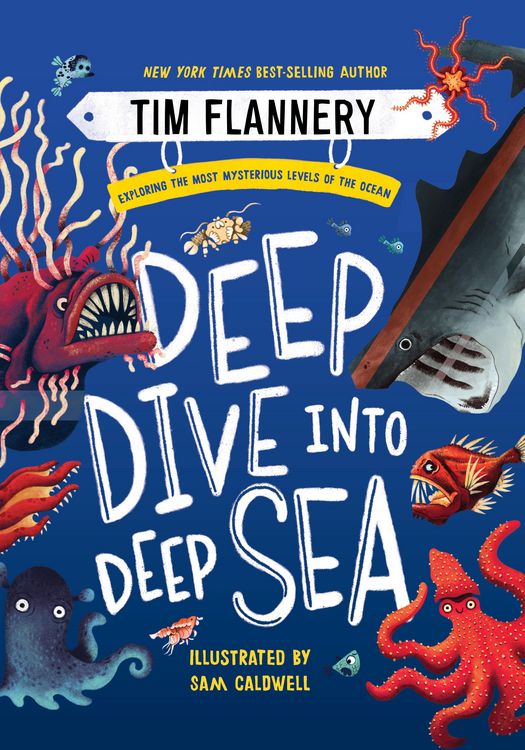 Produktbild: Deep Dive into Deep Sea