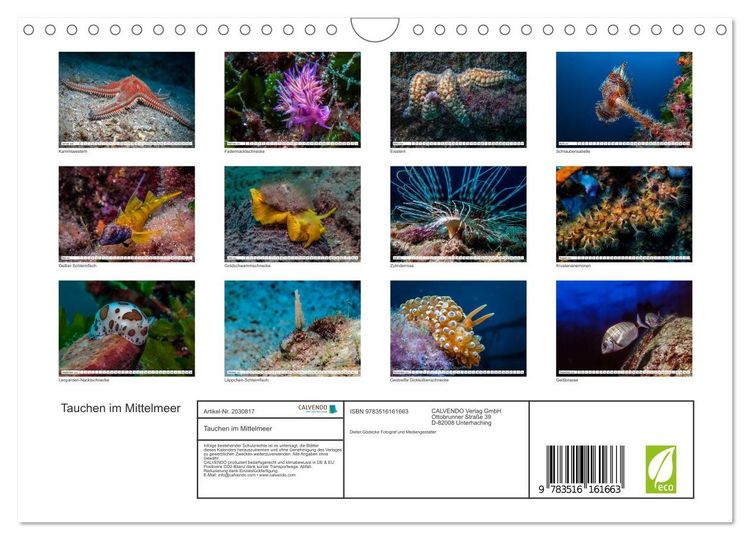 Produktbild: Tauchen im Mittelmeer (Wandkalender 2026 DIN A4 quer), CALVENDO Monatskalender