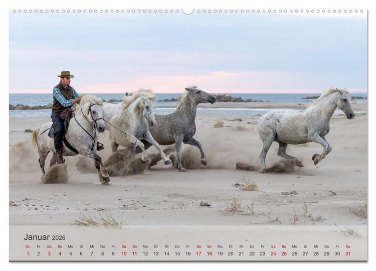 Produktbild: Die wei&szlig;en Pferde der Camargue (hochwertiger Premium Wandkalender 2026 DIN A2 quer), Kunstdruck in Hochglanz