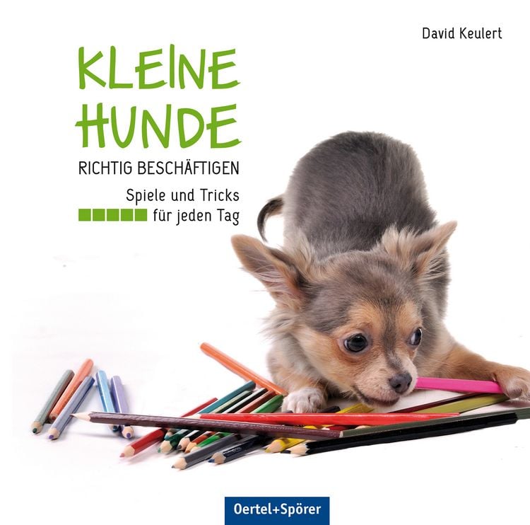 Produktbild: Kleine Hunde richtig besch&auml;ftigen