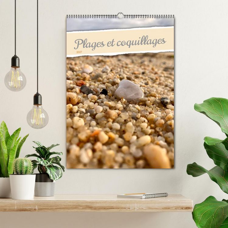 Produktbild: Plages et coquillages (Calendrier mural 2027 DIN A2 horizontal), CALVENDO calendrier mensuel