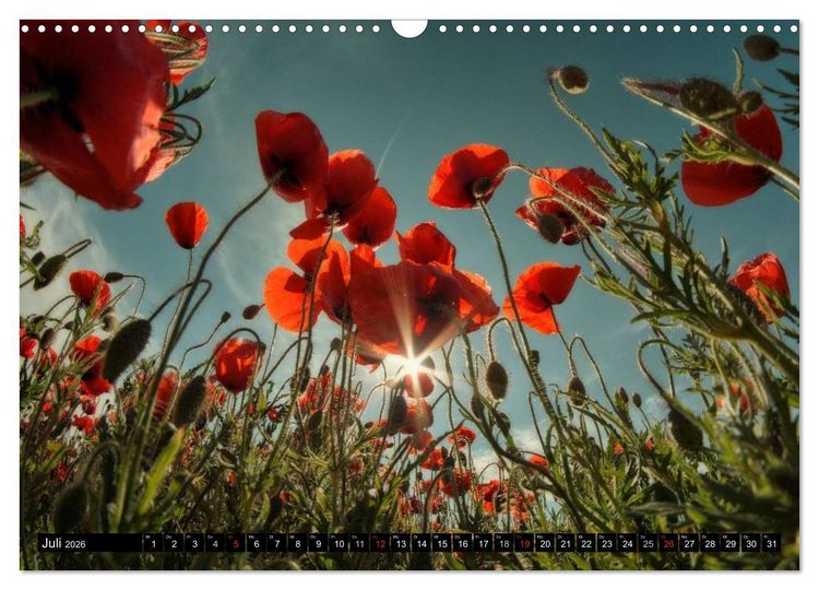 Produktbild: Lichtstimmungen Th&uuml;ringen - Eine Reise von Morgens bis Abends (Wandkalender 2026 DIN A3 quer), CALVENDO Monatskalender