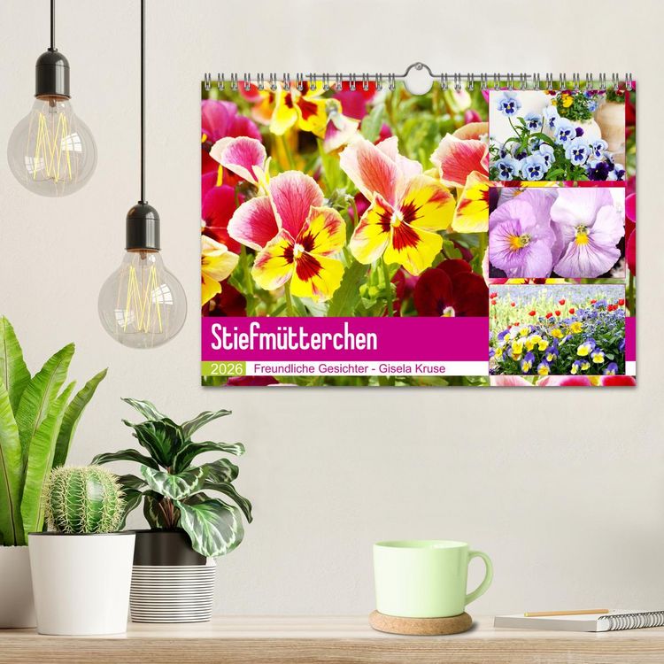 Produktbild: Stiefm&uuml;tterchen Freundliche Gesichter (Wandkalender 2026 DIN A4 quer), CALVENDO Monatskalender