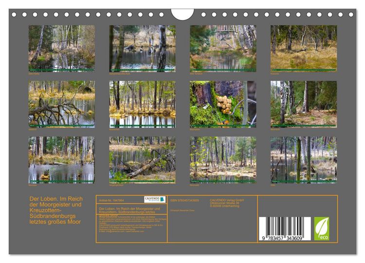 Produktbild: Der Loben. Im Reich der Moorgeister und Kreuzottern- S&uuml;dbrandenburgs letztes gro&szlig;es Moor (Wandkalender 2026 DIN A4 quer), CALVENDO Monatskalender