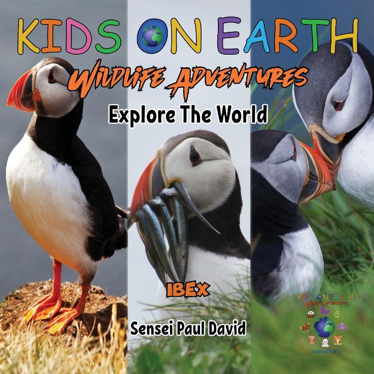 Produktbild: KIDS ON EARTH Wildlife Adventures - Explore The World - Puffin - Iceland