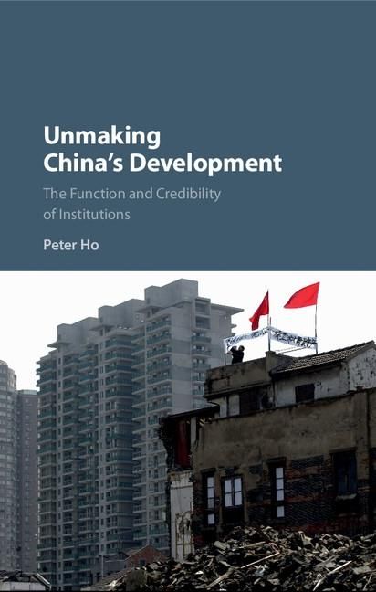Produktbild: Unmaking China's Development