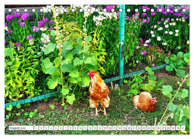Produktbild: Dorfidylle - Landleben in Russland (Tischkalender 2026 DIN A5 quer), CALVENDO Monatskalender