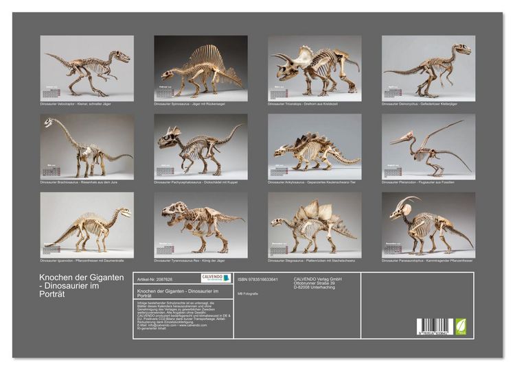 Produktbild: Knochen der Giganten - Dinosaurier im Portr&auml;t (Wandkalender 2026 DIN A2 quer), CALVENDO Monatskalender