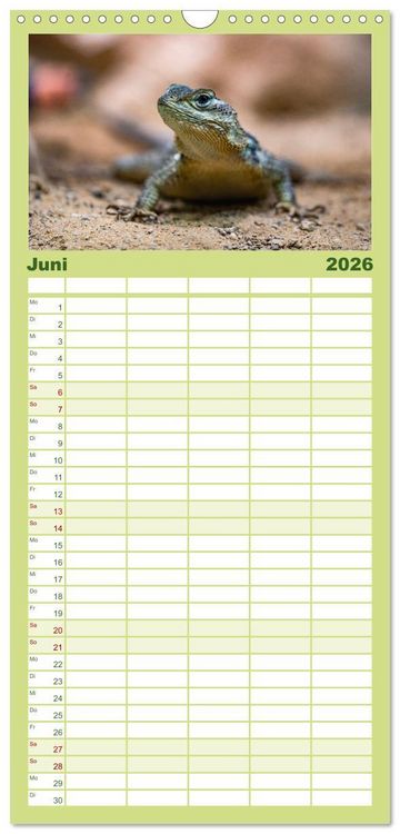 Produktbild: Familienplaner 2026 - Reptilien & Amphibien Portraits mit 5 Spalten (Wandkalender, 21 x 45 cm) CALVENDO