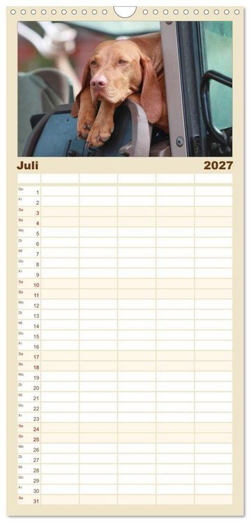 Produktbild: Familienplaner 2027 - Magyar Vizsla - Vielseitiger Jagdhund mit 5 Spalten (Wandkalender, 21 x 45 cm) CALVENDO