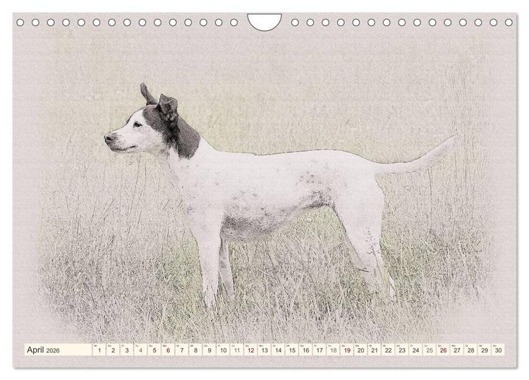 Produktbild: Bodeguero Andaluz 2026 (Wandkalender 2026 DIN A4 quer), CALVENDO Monatskalender