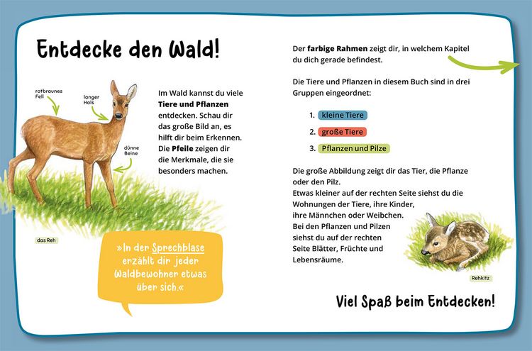Produktbild: Mein erster Naturf&uuml;hrer, Was lebt im Wald?