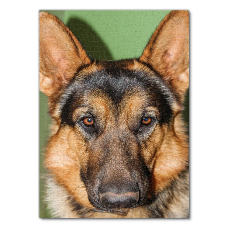1000 Teile Puzzle 'Deutscher Schäferhund' – Premium-Qualität Aus Europa