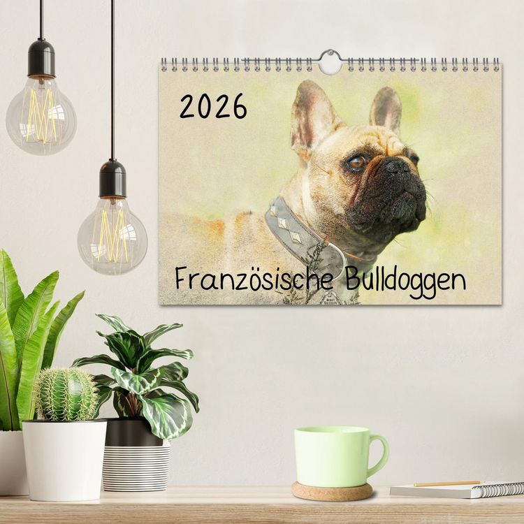 Produktbild: Franz&ouml;sische Bulldoggen 2026 (Wandkalender 2026 DIN A4 quer), CALVENDO Monatskalender