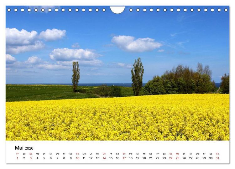 Produktbild: Ostseek&uuml;ste 2026 (Wandkalender 2026 DIN A4 quer), CALVENDO Monatskalender
