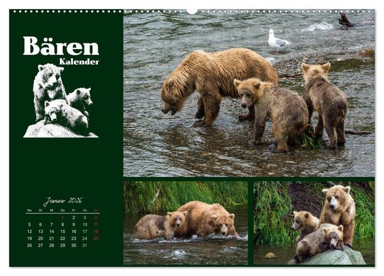 Produktbild: B&auml;renkalender (hochwertiger Premium Wandkalender 2026 DIN A2 quer), Kunstdruck in Hochglanz
