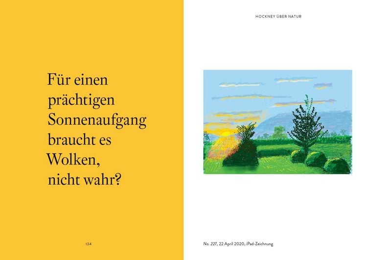 Produktbild: David Hockney und wie er die Welt sieht