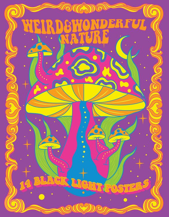 Produktbild: Weird & Wonderful Nature