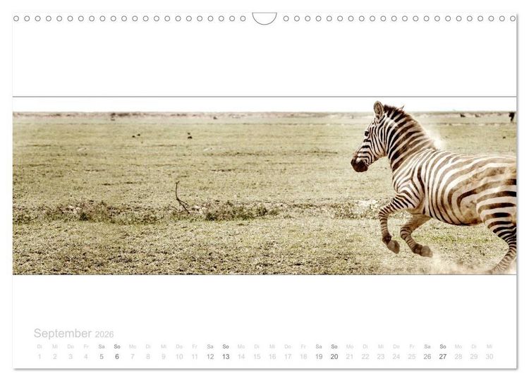 Produktbild: Serengeti Panorama (Wandkalender 2026 DIN A3 quer), CALVENDO Monatskalender