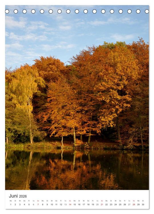 Produktbild: Faszination der Farben im Naturpark Lappwald (Tischkalender 2026 DIN A5 hoch), CALVENDO Monatskalender