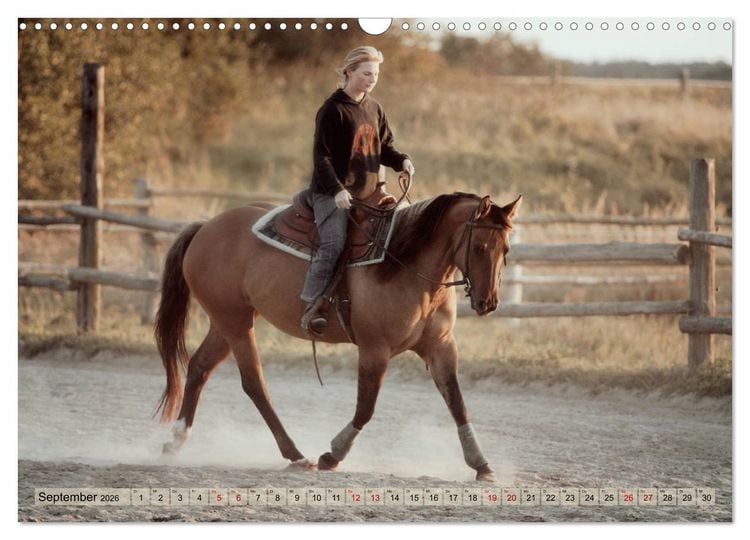 Produktbild: Quarter Horses - Die gr&ouml;&szlig;te Zuchtbuchrasse der Welt (Wandkalender 2026 DIN A3 quer), CALVENDO Monatskalender