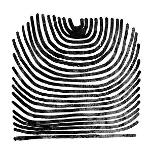 Produktbild: Howl (limited Clear Vinyl)