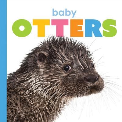 Produktbild: Baby Otters