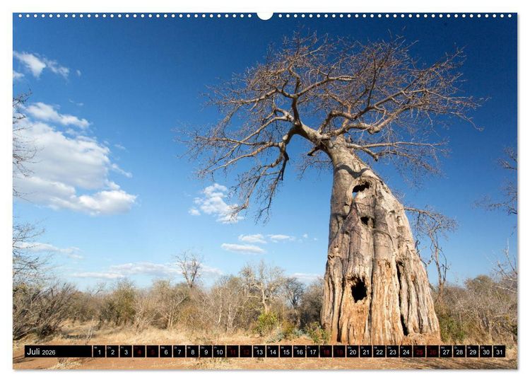 Produktbild: Faszination Simbabwe (Wandkalender 2026 DIN A2 quer), CALVENDO Monatskalender