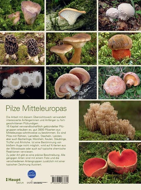 Produktbild: Pilze Mitteleuropas