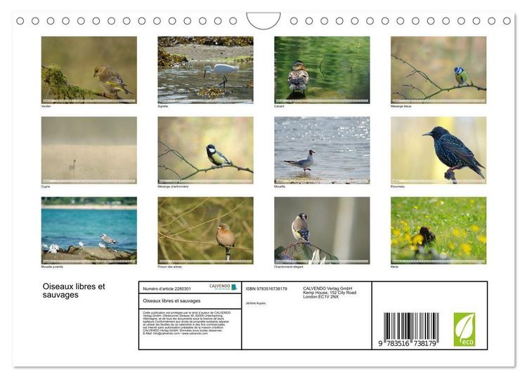 Produktbild: Oiseaux libres et sauvages (Calendrier mural 2026 DIN A4 vertical), CALVENDO calendrier mensuel
