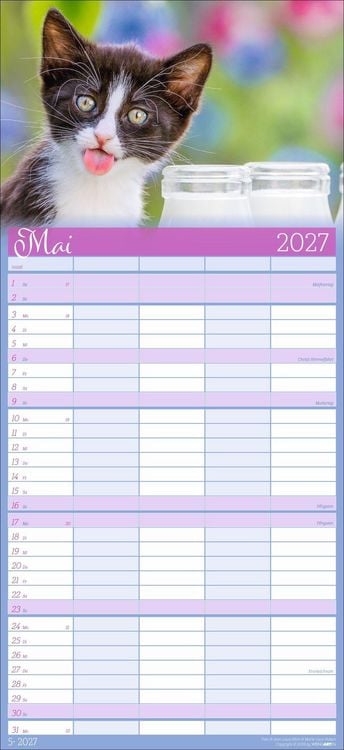 Produktbild: Cool Cats Familienplaner 2027