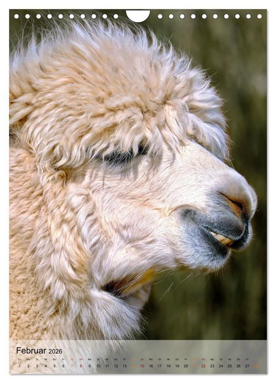 Produktbild: Tiere - K&ouml;pfe mit Charakter (Wandkalender 2026 DIN A4 hoch), CALVENDO Monatskalender
